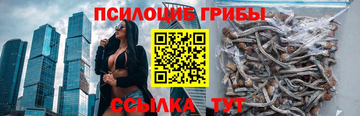 Галлюциногенные грибы MAGIC MUSHROOMS  что такое   Северодвинск  Вход с VPN 